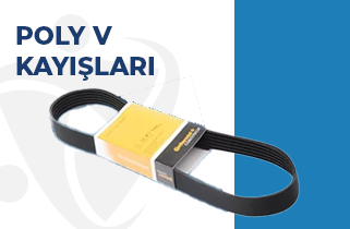 Poly V Kayışları